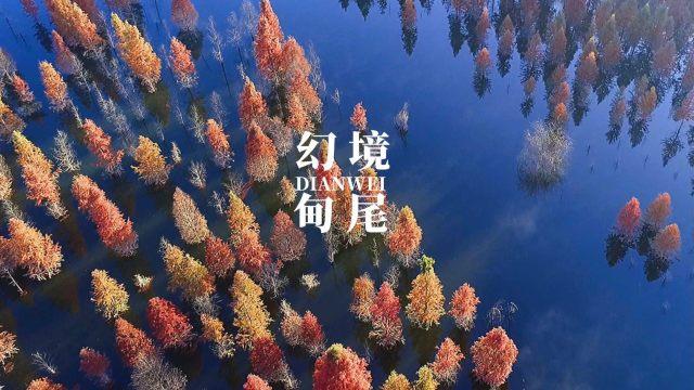 如果手机上有这4种照片,可能会泄露你的隐私
